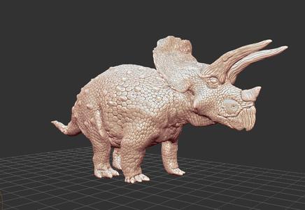 Triceratops