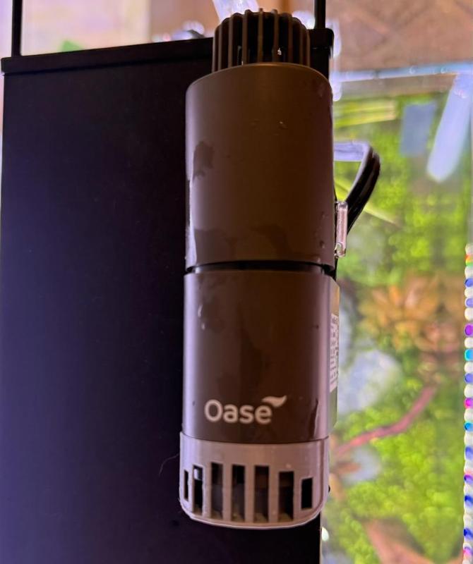 OASE CrystamSkim 350 water flow