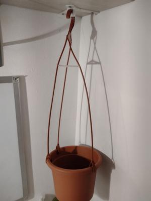 Pot hook for shelf