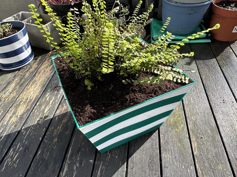 Cubic Planter / Eckiger Blumentopf