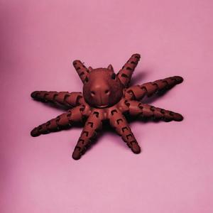 CAPYBARA OCTOPUS