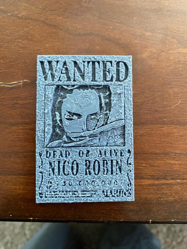 Robin Post Wano bounty poster