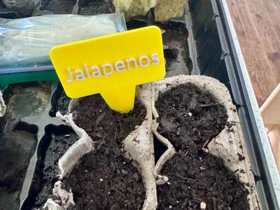 Vegetable Marker, Identifier