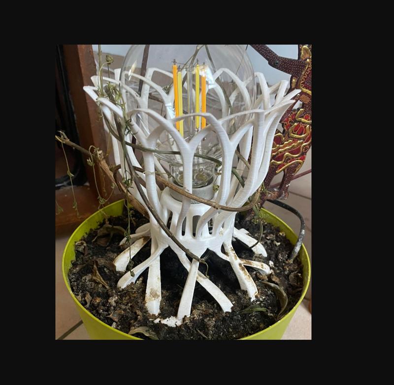 Plampe - Support for climbing plant and bulb