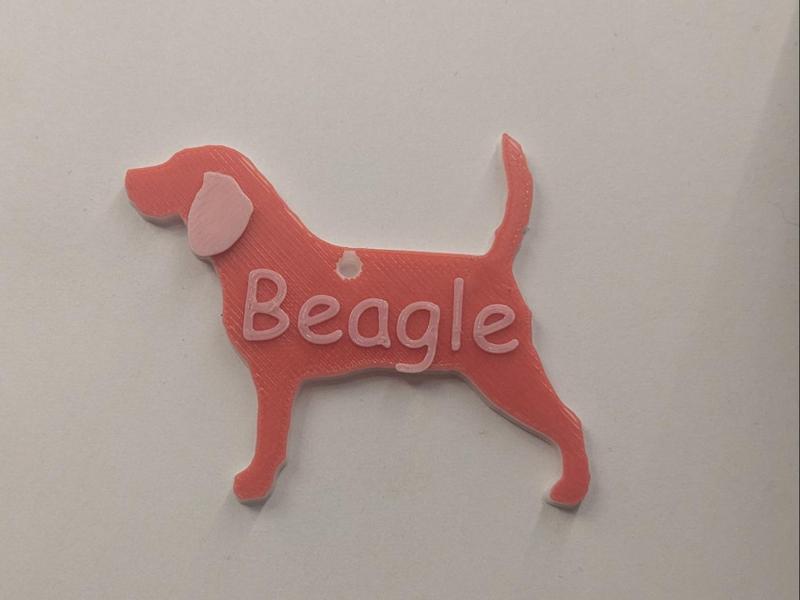 Beagle tag
