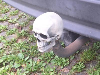 Skull for Trailer Hitch
