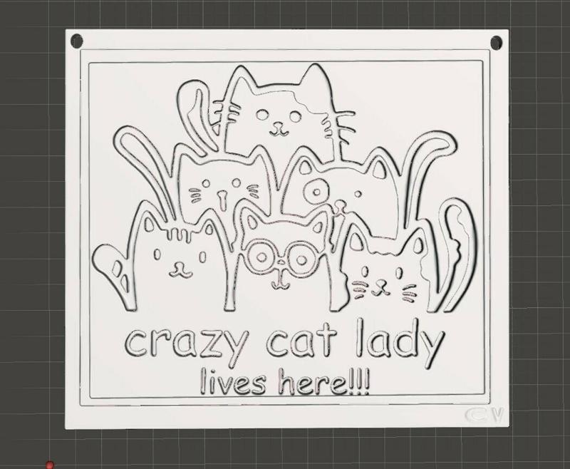 crazy cat lady lives here