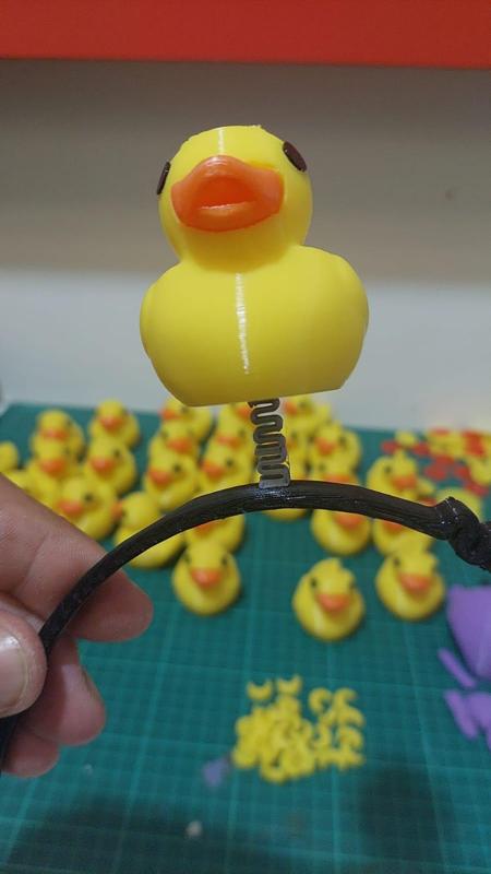 FASHIONABLE DUCKS UWU .WITH HEADBAND