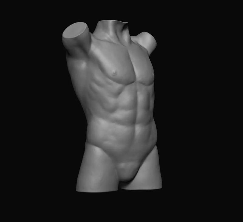 Male Torso - 3D Print