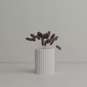 Aesthetic Vase Flower