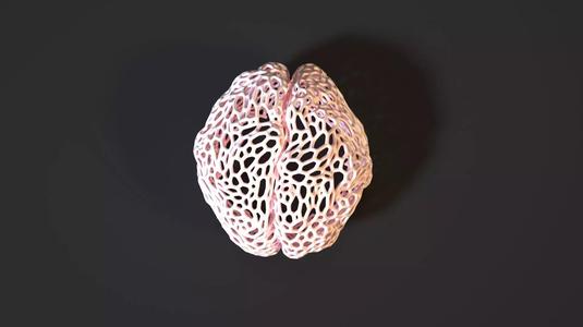 Brain Voronoi