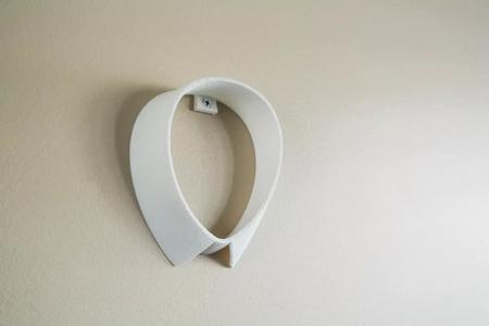 Camera hook