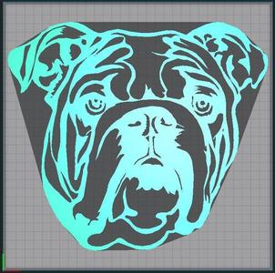 bulldog english bulldog - english bulldog