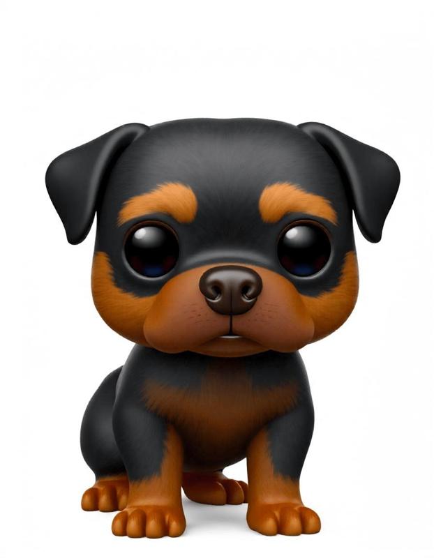 Perro Rotweiller Dog