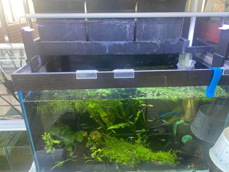 Aquarium Light Riser