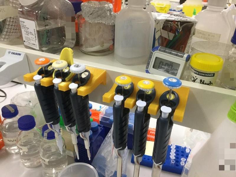 Adhesive-backed pipette holder for Gilson pipettes (1×, 2×, 3×)