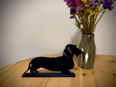 Wire-haired dachshund