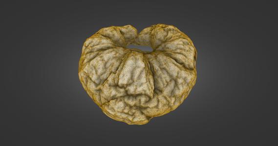 Croissant — Laser-Scanned 3D Model (500k & 1.5M OBJ/STL) — Buttery Layers - By ScanPantry