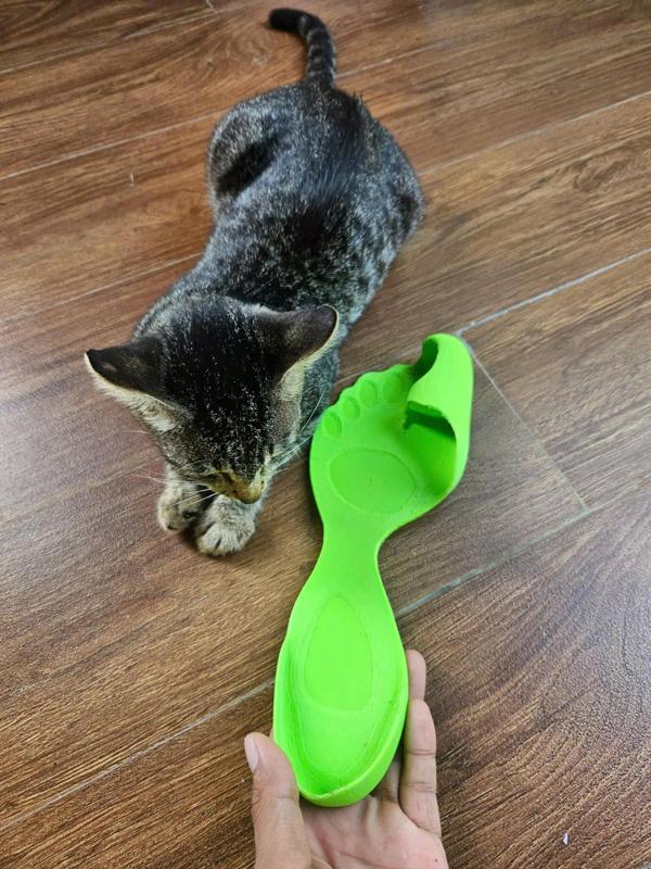 Balenciaga flip-flop Barefoot Zero shoes