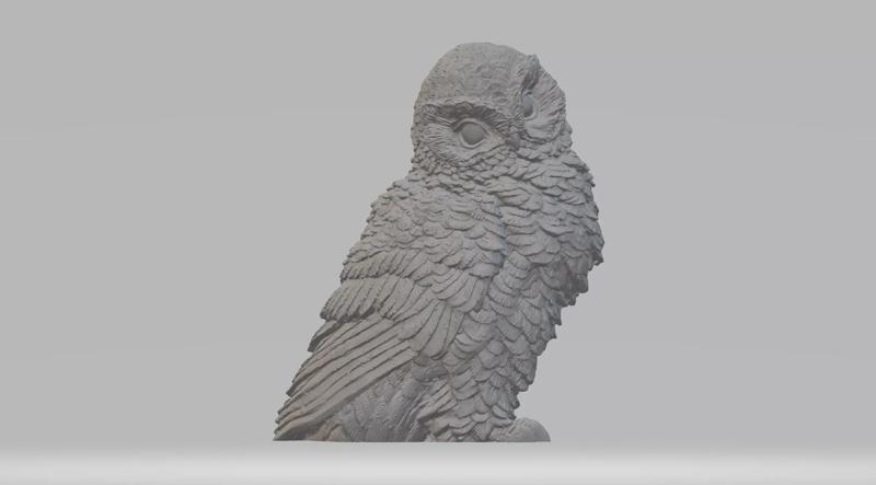 Little Owl 3D Model