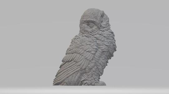 Little Owl 3D Model