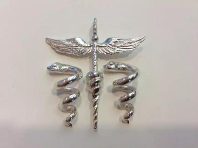 WINGsnake silver medical badge with two snakes