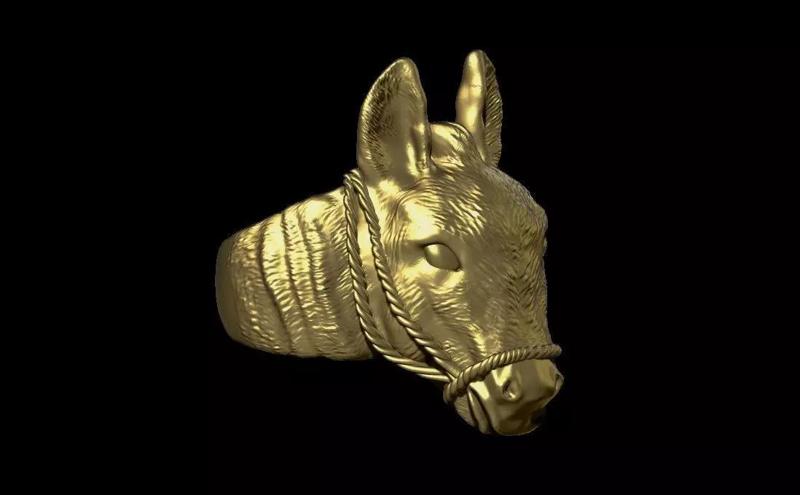 Donkey ring
