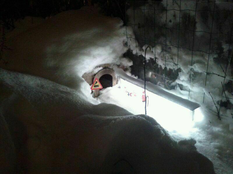 Three Color Train Sign (Dual Extrusion Sailfish)