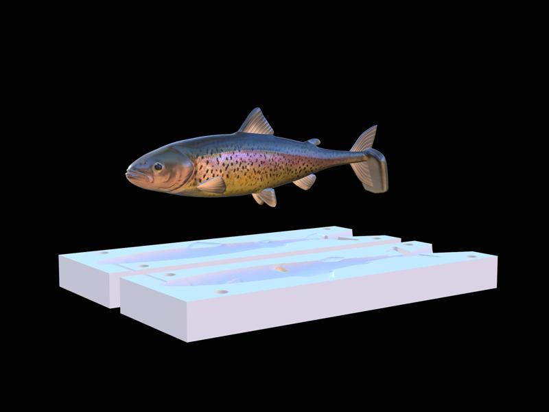 AM bait rainbow trout 2.0 fish 13cm hoof form for predator fishing