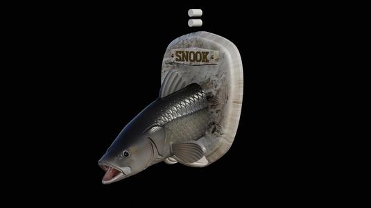 fish head trophy black snook / robalo / Centropomus nigrescens open mouth statue detailed texture for 3d printing