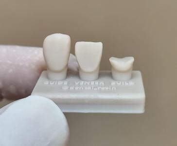 Anterior teeth 11 for training