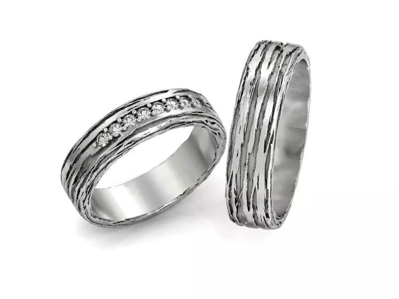paired wedding rings  tree bark branch 954