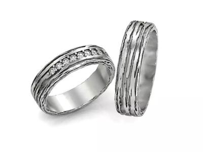 paired wedding rings  tree bark branch 954
