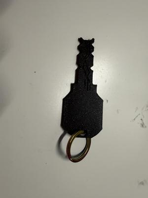 Evva dummy key