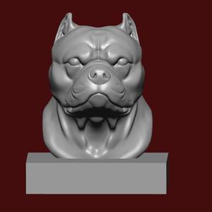 American Bully face bust