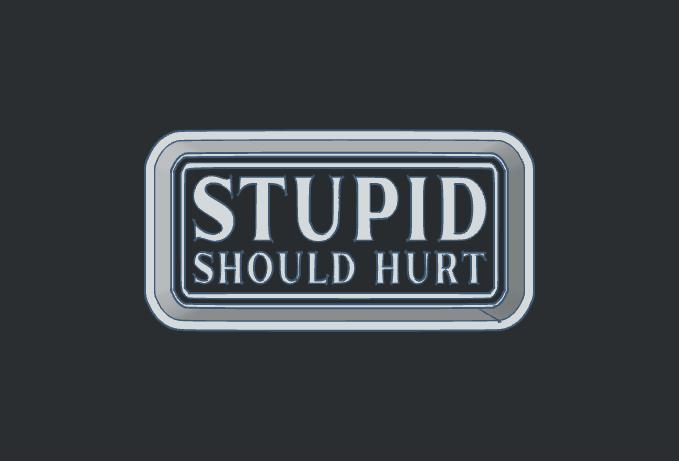 Stupid Should Hurt - Freshie Mold Housing