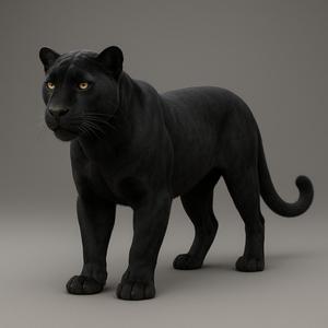 3D Render of a Black Panther