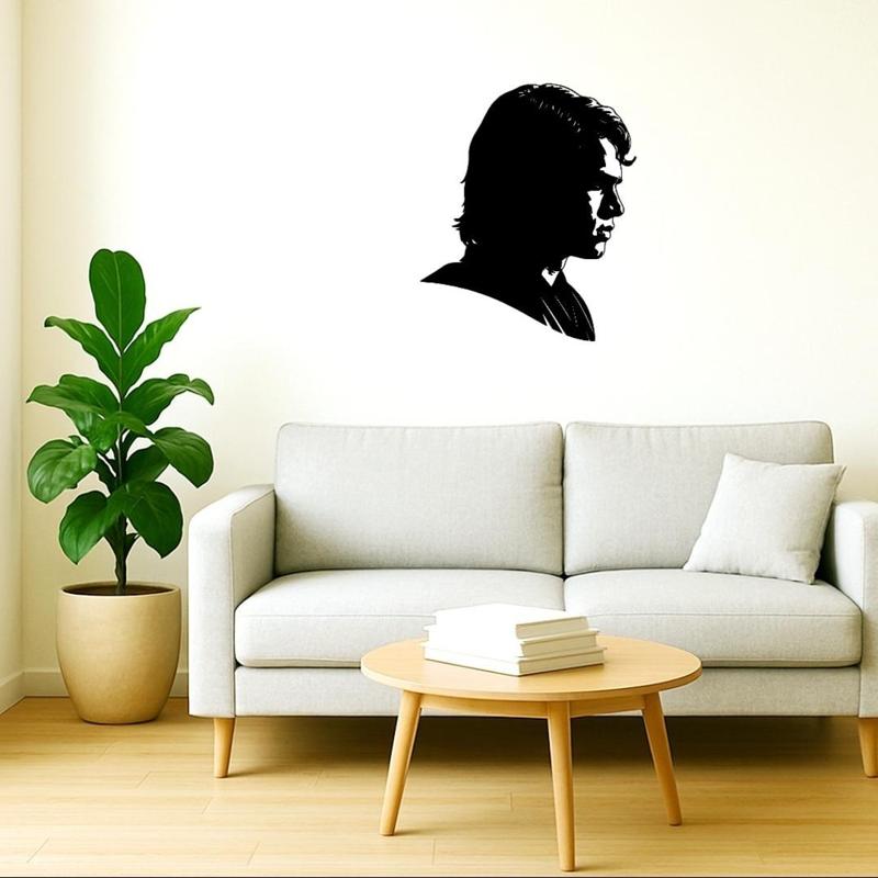 star wars anakin wall decoration