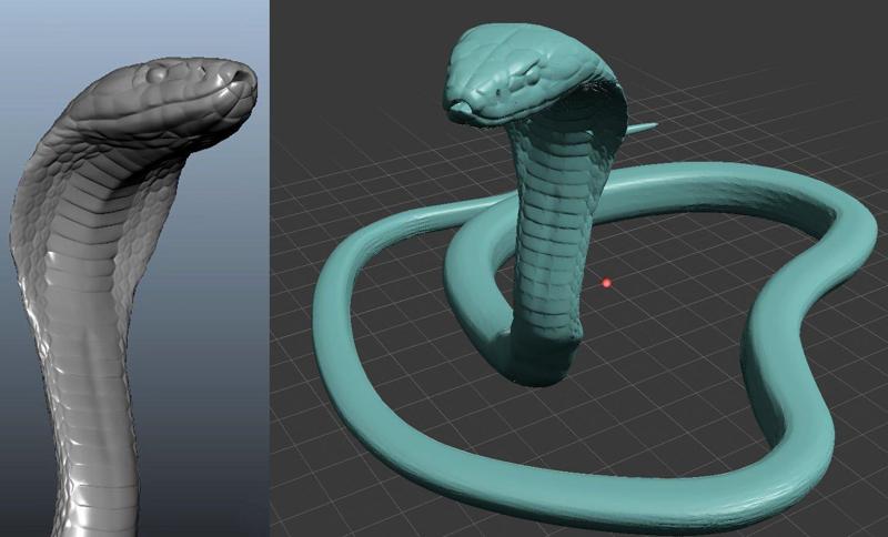 snake cobra