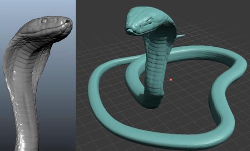 snake cobra