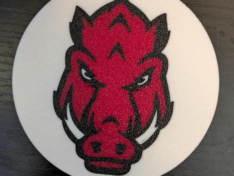 Arkansas Razorback Coaster