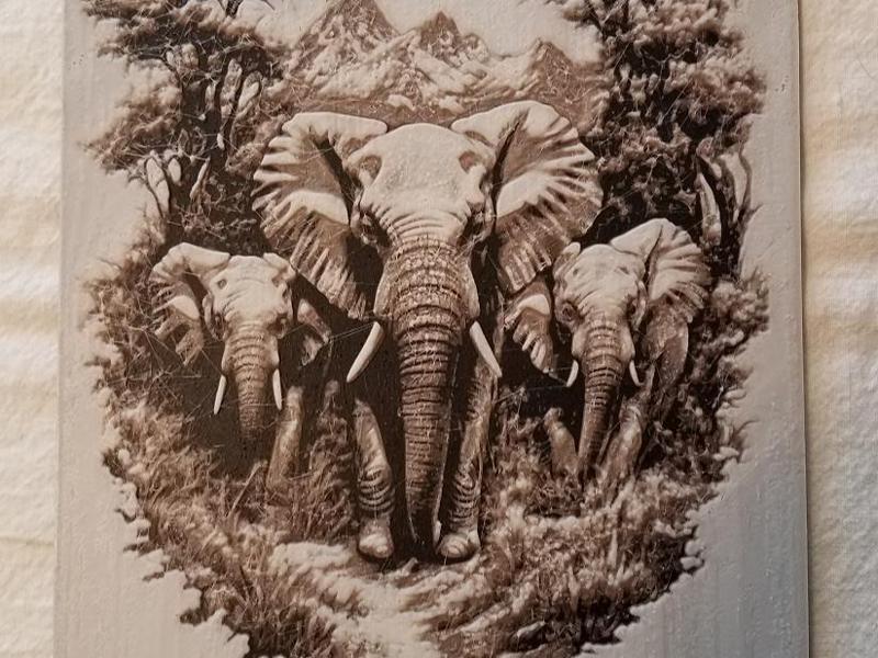 3 Elephants-2