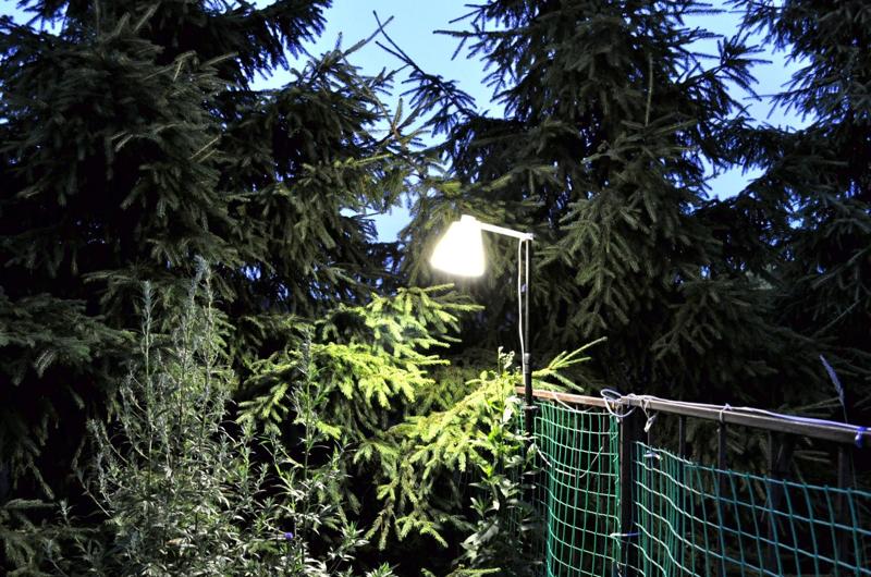 Standard LED E27 220V lamp