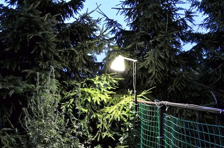 Standard LED E27 220V lamp