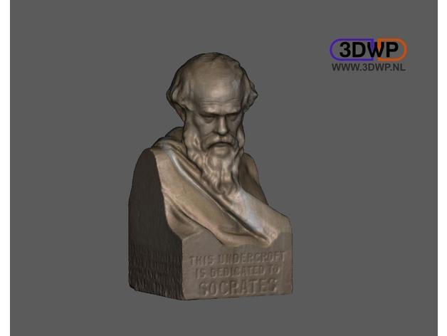 Socrates Bust