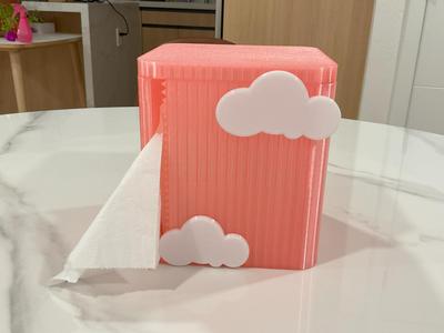 toilet paper box + wall mount (fit costco size )