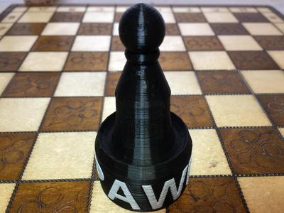 Pawn with Name -Version 2 MMU