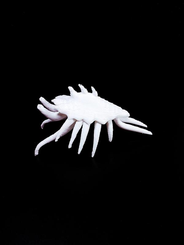 Monster Hunter - Scarab's Blessing