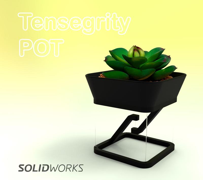 Tensegrity Pot