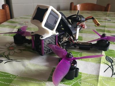 Wizard X220/X220S 30° Gopro Session Mount